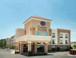 Comfort Suites | Louisiana - Natchitoches (ve civarı) - Natchitoches - Shamard Heights