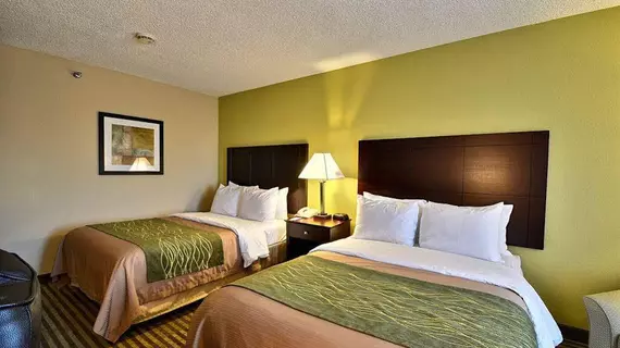 Comfort Inn & Suites Airport Clearwater | Florida - St. Petersburg - Clearwater (ve civarı) - Clearwater