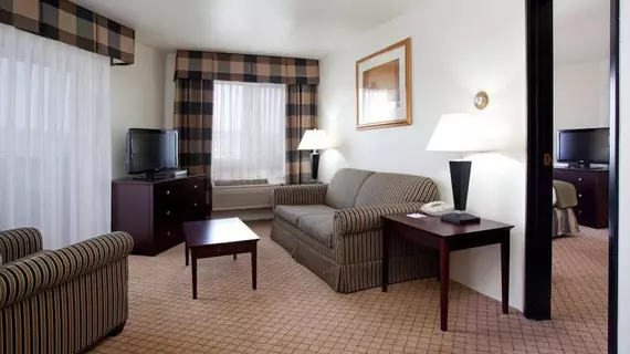 Holiday Inn Colorado Springs - Airport | Kolorado - Colorado Springs (ve civarı) - Colorado Springs