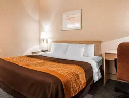 Quality Inn Tulalip Marysville | Washington - Everett (ve civarı) - Marysville