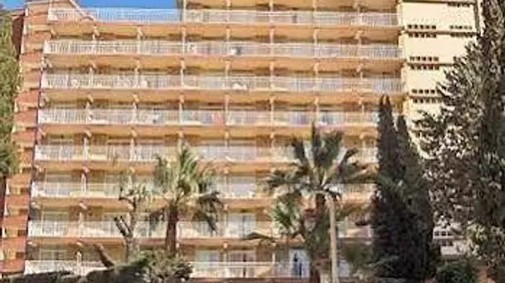 Hotel Gala Placidia | Valencia Bölgesi - Alicante (vilayet) - Marina Baja - Benidorm