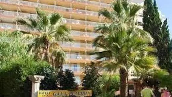 Hotel Gala Placidia | Valencia Bölgesi - Alicante (vilayet) - Marina Baja - Benidorm