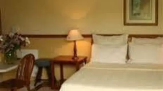 Darrenwood Guesthouse | Gauteng - City of Tshwane - Johannesburg (ve civarı) - Randburg