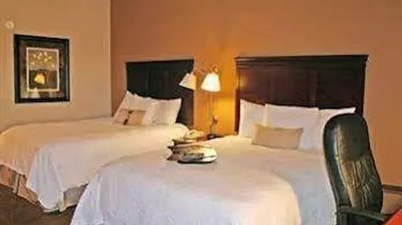 Hampton Inn Tuscaloosa - East | Alabama - Tuscaloosa (ve civarı) - Cottondale