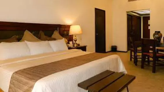 Hotel Fenix | Jalisco - Guadalajara (ve civarı) - Guadalajara - Centro