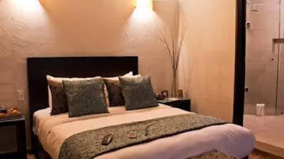 MLM Hotel Boutique | Michoacan - Morelia (ve civarı) - Morelia - Tarihi Kent Merkezi