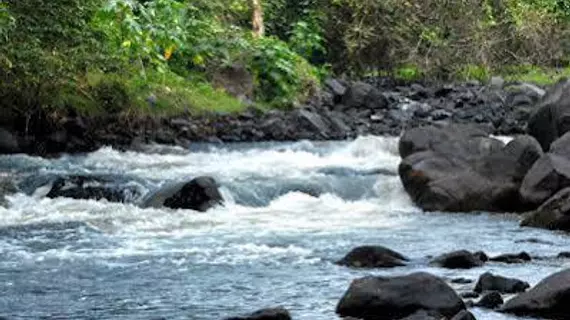 Gaia Paraiso | Veracruz - San Andres Tuxtla