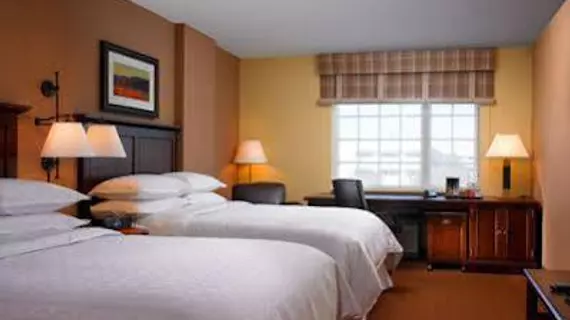 Sheraton Houston West | Teksas - Houston (ve civarı) - Houston