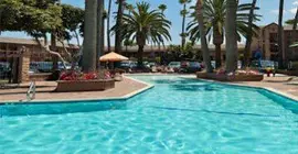 Grand Legacy At the Park | Kaliforniya - Orange County - Anaheim - Anaheim Resort