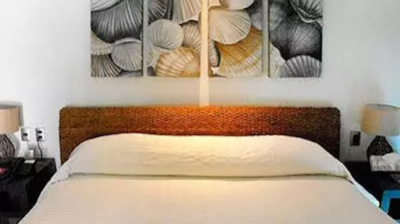 Hotel Riviera Caribe Maya | Quintana Roo - Solidaridad - Playa del Carmen