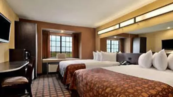 Microtel Inn & Suites by Wyndham San Antonio by SeaWorld | Teksas - San Antonio (ve civarı) - San Antonio