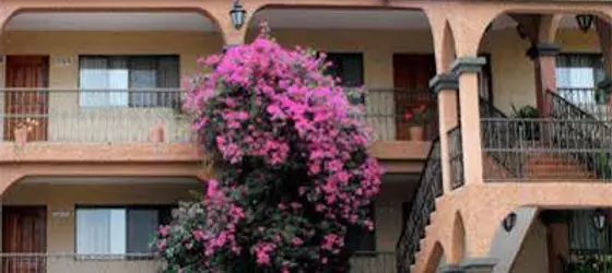 Hotel Mansion Los Arcos | San Luis Potosi - San Luis Potosi