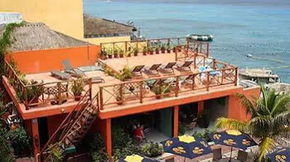 Hotel Barracuda | Quintana Roo - Cozumel