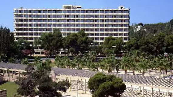 Sol Mirlos Tordos Hotel | Balearic Adaları - Mayorka Adası - Calvia - Palmanova