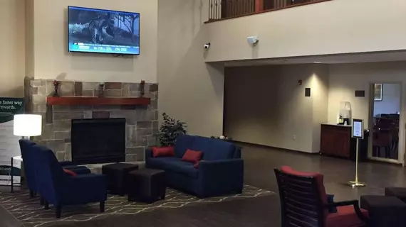 Comfort Suites Johnson Creek | Wisconsin - Fort Atkinson (ve civarı) - Johnson Creek