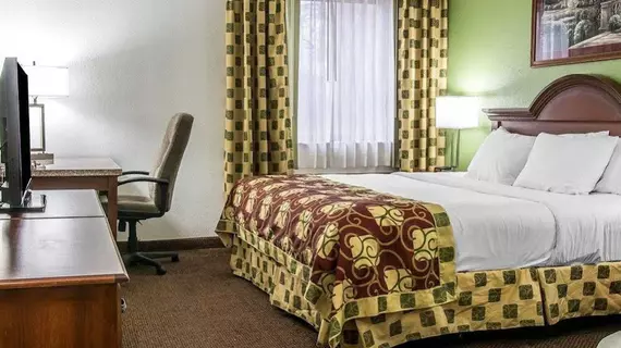 Clarion Inn Kalamazoo | Michigan - Kalamazoo (ve civarı) - Kalamazoo