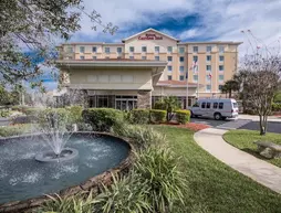 Hilton Garden Inn Tampa Riverview Brandon | Florida - Tampa (ve civarı) - Riverview