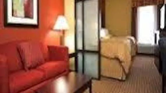 Comfort Suites Golden Isles Gateway | Georgia - Brunswick (ve civarı) - Brunswick