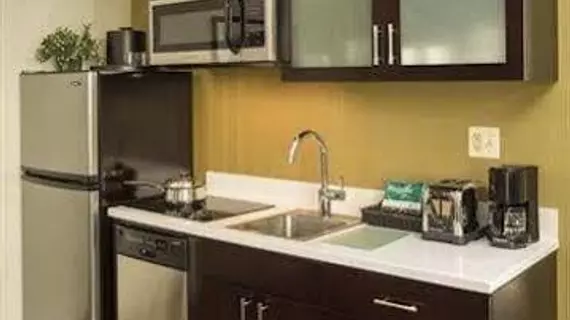 Homewood Suites Chicago Downtown - Magnificent Mile | İllinois - Chicago (ve civarı) - Chicago - Streeterville