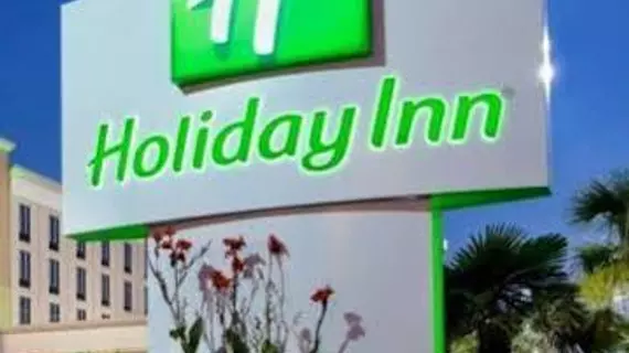 Holiday Inn Shenandoah-The Woodlands | Teksas - Conroe (ve civarı) - Shenandoah