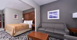 Comfort Inn & Suites | Teksas - Dallas (ve civarı) - Frisco