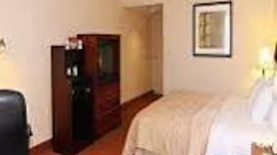 Comfort Inn Conference Center Bowie | Maryland - Annapolis (ve civarı) - Bowie