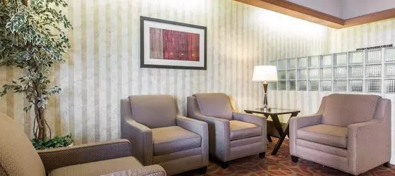 Comfort Suites Palm Desert | Kaliforniya - Imperial County - Palm Springs (ve civarı) - Palm Desert