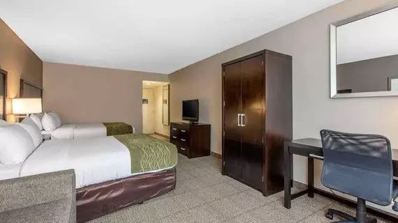 Comfort Inn & Suites Zoo SeaWorld Area | Kaliforniya - San Diego County - San Diego - Mission Valley