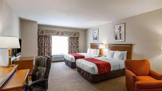 Comfort Suites Univ. of Phoenix Stadium Area | Arizona - Phoenix (ve civarı) - Glendale