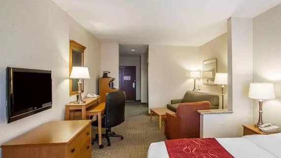 Comfort Suites Univ. of Phoenix Stadium Area | Arizona - Phoenix (ve civarı) - Glendale