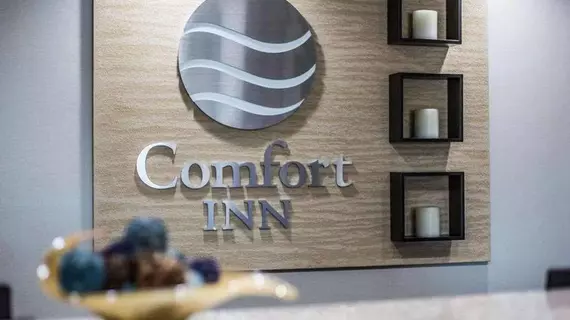 Comfort Inn Airport Manchester | New Hampshire - Manchester (ve civarı) - Manchester