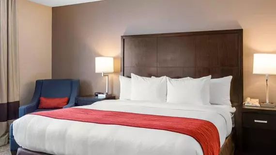 Comfort Inn & Suites Zoo SeaWorld Area | Kaliforniya - San Diego County - San Diego - Mission Valley