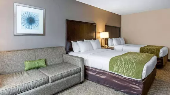 Comfort Inn & Suites Zoo SeaWorld Area | Kaliforniya - San Diego County - San Diego - Mission Valley