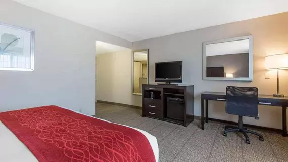 Comfort Inn & Suites Zoo SeaWorld Area | Kaliforniya - San Diego County - San Diego - Mission Valley