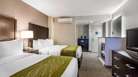 Comfort Inn & Suites Zoo SeaWorld Area | Kaliforniya - San Diego County - San Diego - Mission Valley