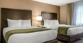 Comfort Inn & Suites Zoo SeaWorld Area | Kaliforniya - San Diego County - San Diego - Mission Valley