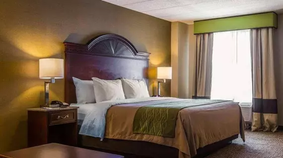 Comfort Inn Airport Manchester | New Hampshire - Manchester (ve civarı) - Manchester