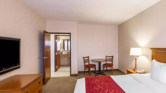 Comfort Suites Univ. of Phoenix Stadium Area | Arizona - Phoenix (ve civarı) - Glendale