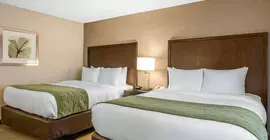 Comfort Inn & Suites Zoo SeaWorld Area | Kaliforniya - San Diego County - San Diego - Mission Valley