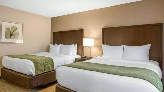 Comfort Inn & Suites Zoo SeaWorld Area | Kaliforniya - San Diego County - San Diego - Mission Valley