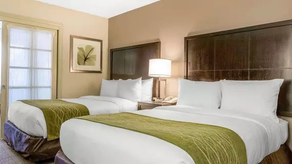 Comfort Inn & Suites Zoo SeaWorld Area | Kaliforniya - San Diego County - San Diego - Mission Valley