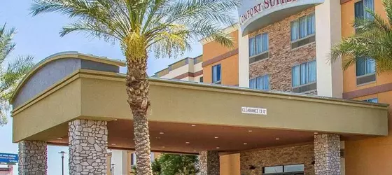 Comfort Suites Univ. of Phoenix Stadium Area | Arizona - Phoenix (ve civarı) - Glendale