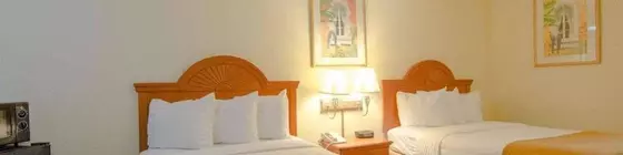 Quality Inn & Suites Sarasota | Florida - Sarasota (ve civarı) - Sarasota