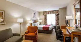 Comfort Suites Univ. of Phoenix Stadium Area | Arizona - Phoenix (ve civarı) - Glendale