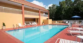 Quality Inn & Suites Sarasota | Florida - Sarasota (ve civarı) - Sarasota