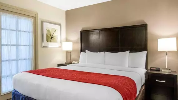 Comfort Inn & Suites Zoo SeaWorld Area | Kaliforniya - San Diego County - San Diego - Mission Valley