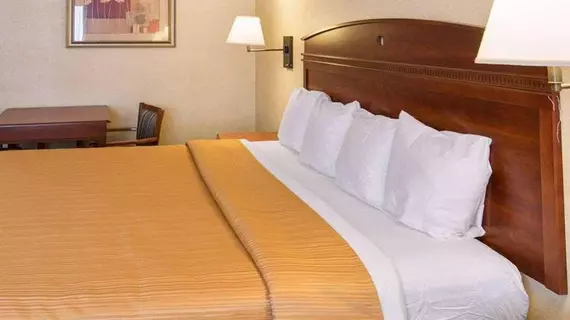 Quality Inn Takoma Park | Maryland - College Park (ve civarı) - Takoma Park