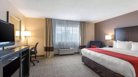 Comfort Inn & Suites Zoo SeaWorld Area | Kaliforniya - San Diego County - San Diego - Mission Valley