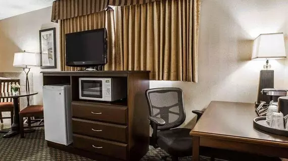 Quality Inn & Suites Seattle Center | Washington - Seattle (ve dolayları) - Seattle - South Lake Union