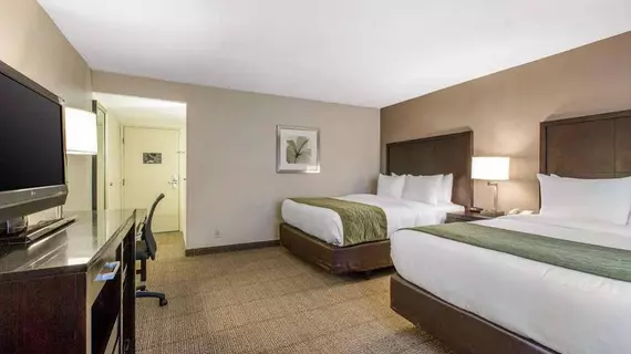 Comfort Inn & Suites Zoo SeaWorld Area | Kaliforniya - San Diego County - San Diego - Mission Valley